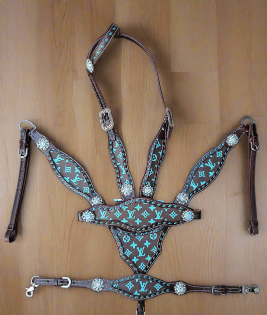 Brown/Teal Louis Vuitton Tack Set