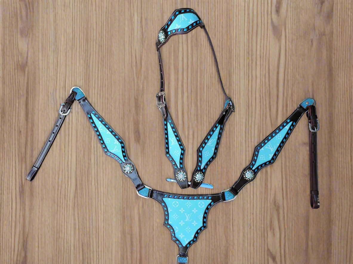 Turquoise Louis Vuitton Tack set