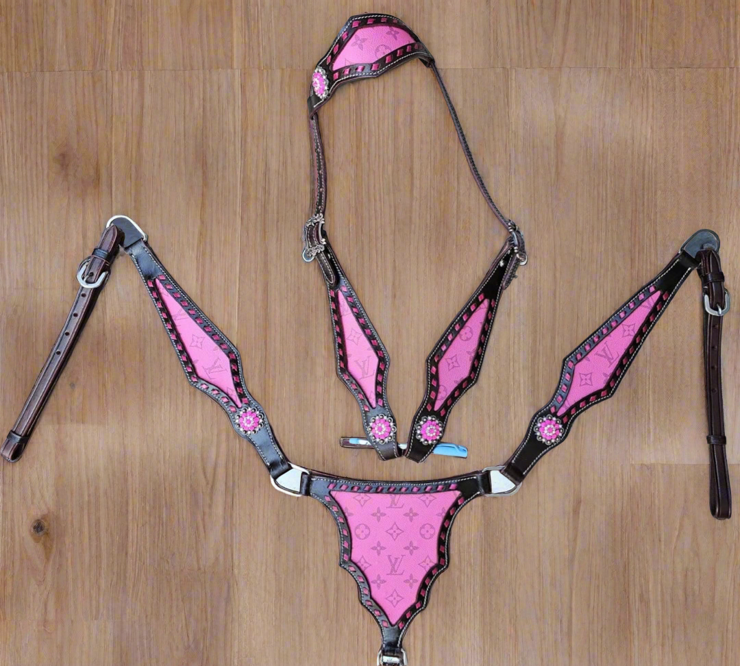 Pink Louis Vuitton Tack Set