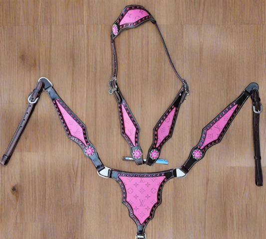 Pink Louis Vuitton Tack Set